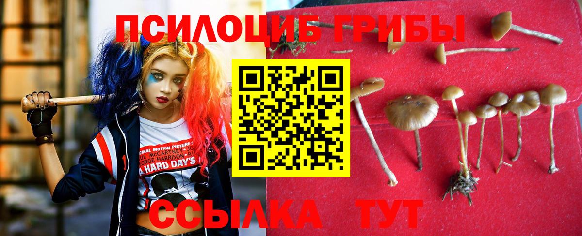 закладки  Вход с VPN  Нижневартовск  Галлюциногенные грибы ЛСД 